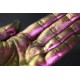 659 - A Game of Gold  - Ama Makeup Pigment Chameleon