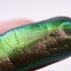 674 - Leaves in The Seelie Court - Ama Makeup Pigment Chameleon