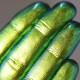 675 - Light Under My Feet - Ama Makeup Pigment