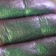 677 - A Song of Mermaids and Tritons- Ama Makeup Pigment Chameleon