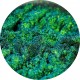 690 - When She Had A Lucky Charm - Ama Makeup Pigment Chameleon
