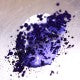 691 - Mulberry Eyes and Onyx Locks- Ama Makeup Pigment Chameleon
