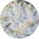 697 - Frozen Blizzard - Ama Makeup Pigment Chameleon