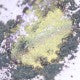 698 - A Fortress of Colors  - Ama Makeup Pigment Chameleon