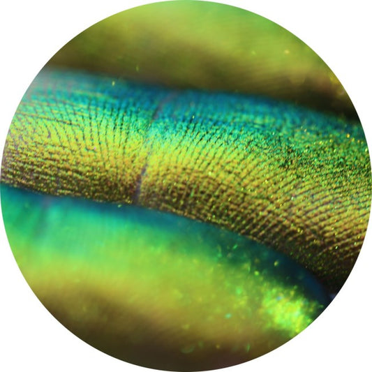 720 - Crystal Rhapsodies by Tania Maxim