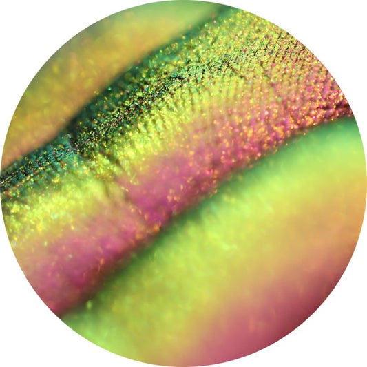 726 - Royal Crown of Perals by Tania Maxim