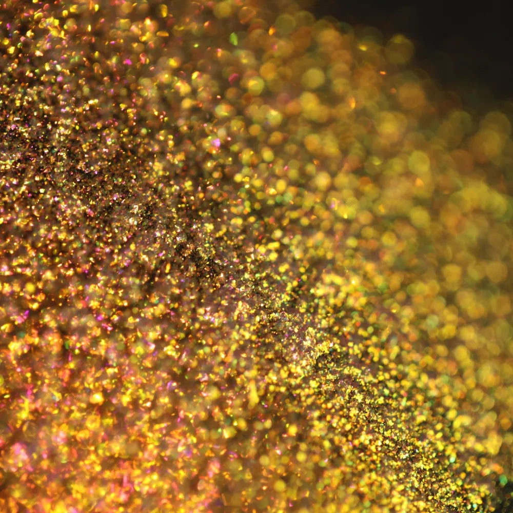 760 - Glided By Elena Nicola