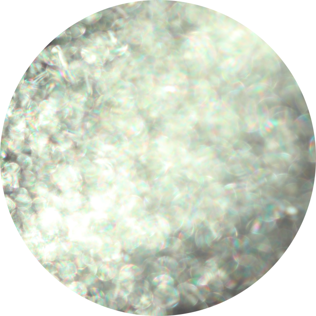 768 - Famous Attitude By Angelica Cicu